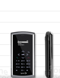 Sanyo Incognito Phone